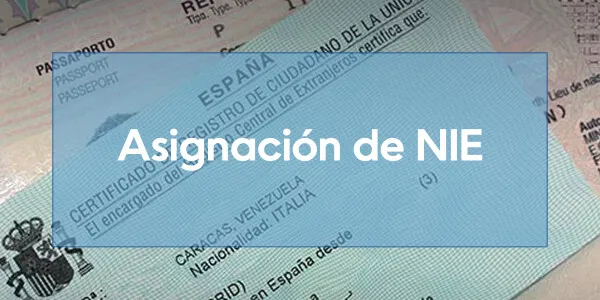 Asignación de NIE: qué es, trámites, requisitos y documentación